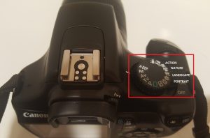 Camera auto setting features