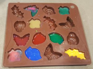 Silicone insect molds with melted crayons