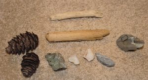 Found objects for terrarium