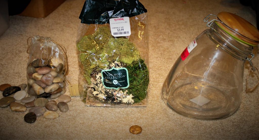 Terrarium pieces